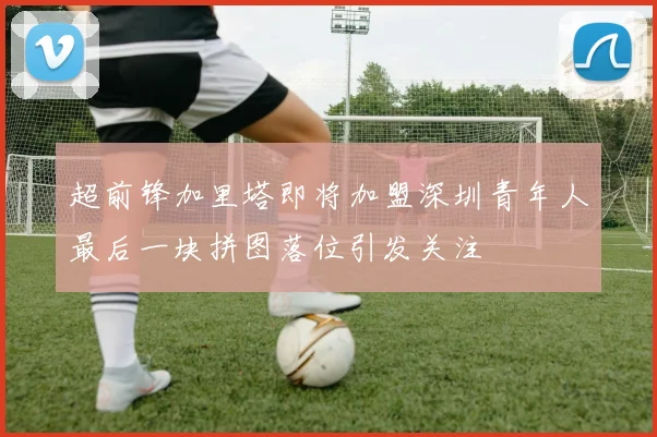 超前锋加里塔即将加盟深圳青年人最后一块拼图落位引发关注