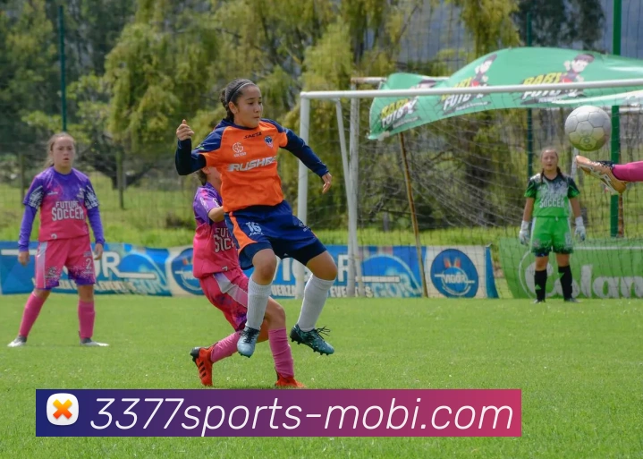 3377体育APP 高清赛事图